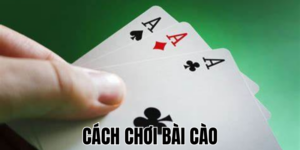 Cách Chơi Bài Cào Hiệu Quả Cho Người Mới Bắt Đầu 20 Anh Thumb bai viet1 4