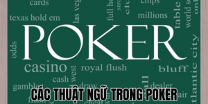 Anh Thumb bai viet1 61