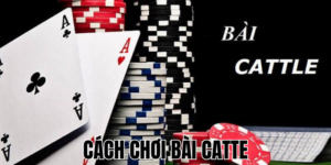 Cách Chơi Bài Catte: Luật, Chiến Thuật Và Mẹo Thắng Lớn 10 Anh Thumb bai viet1 8