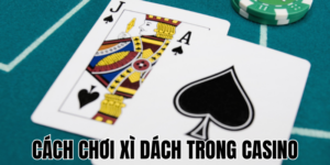 Anh Thumb bai viet2 12