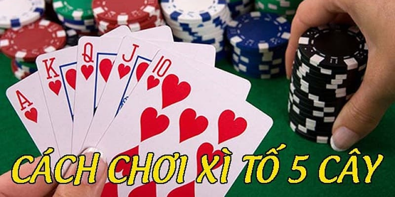 Cách Chơi Xì Tố 5 Cây: Hướng Dẫn Toàn Diện 3 Anh trong bai 31 35